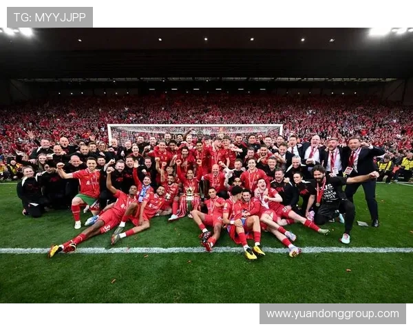 哈里·托夫洛本赛季在英超表现稳健，状态持续提升