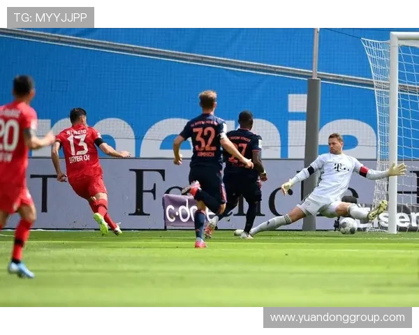 维尔茨:从组织核心到终结者的数据进化分析 维尔茨:从组织核心到终结者的数据进化分析