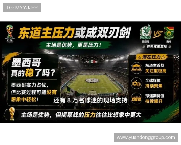 世界杯A组南非对手实力分析出炉 世界杯A组南非对手实力分析出炉
